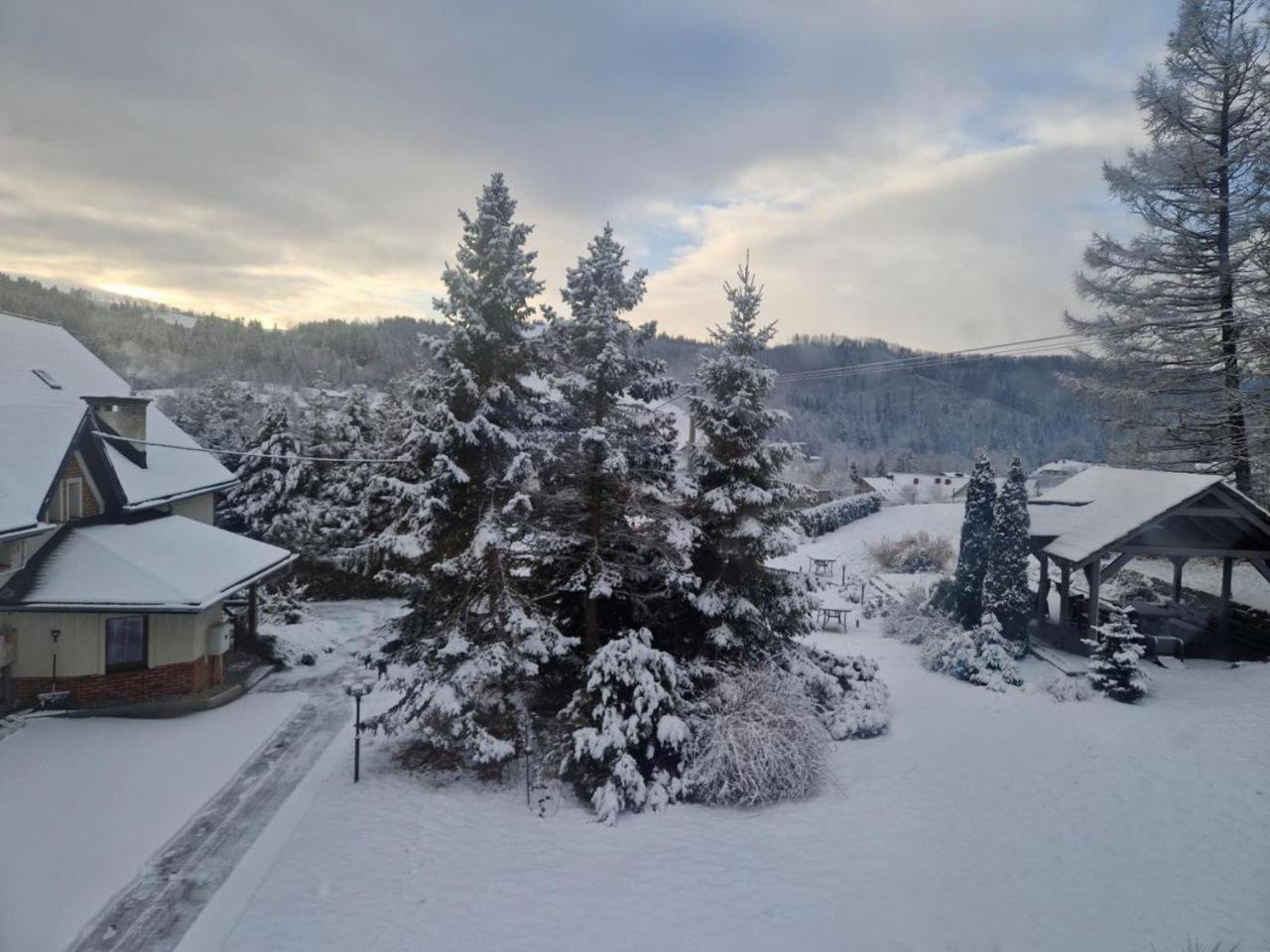 Beskid Ski Villa Wisla Bagian luar foto