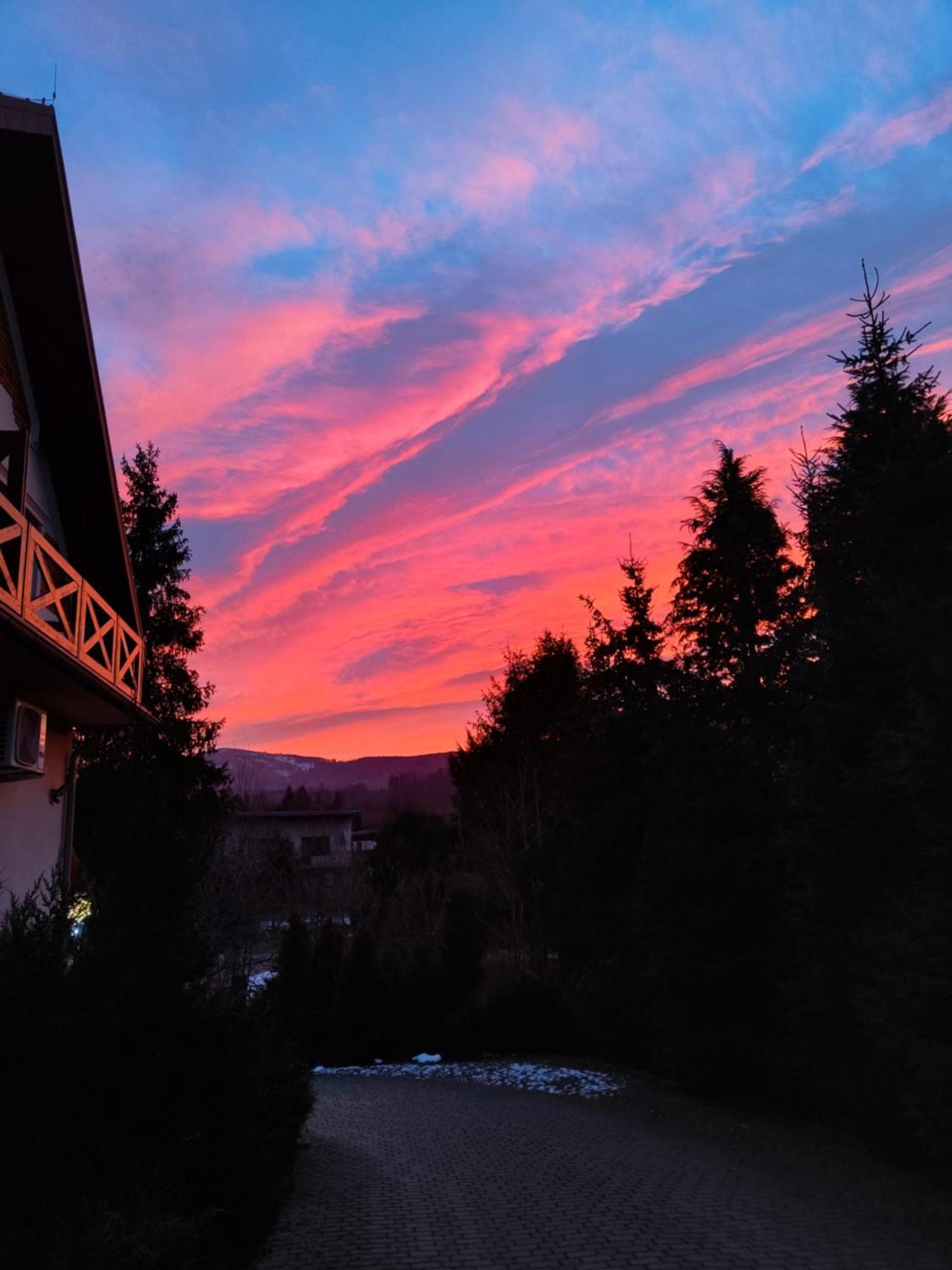 Beskid Ski Villa Wisla Bagian luar foto