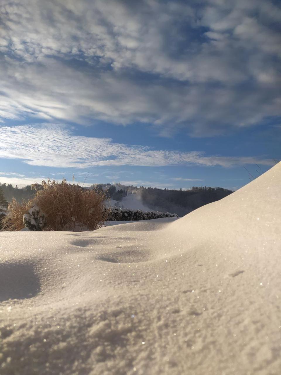 Beskid Ski Villa Wisla Bagian luar foto
